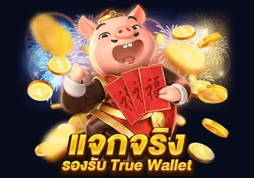 PGSLOT แจกเงินจริง png